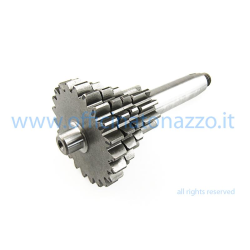 Multiple Gear Z 10-14-18-22 for Vespa 50 - Primavera - ET3