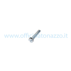 cabeza de corte tornillo M5x25mm