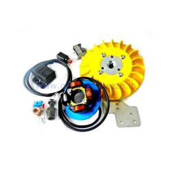 Volviendo PARMAKIT cono avance variable 20 - 1,5 kg con tocho volante para Vespa PK XL - ETS - HP - FL (ventilador amarillo)