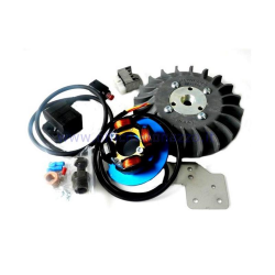 Volviendo PARMAKIT cono avance variable 20 - 1,0 kg con tocho volante para Vespa PK XL - ETS - HP - FL (ventilador gris)