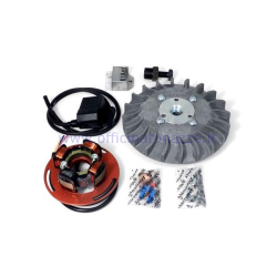 Volviendo PARMAKIT cono avance variable 20 - 1,0 kg con tocho volante para Vespa PX 125/150/200 - PE200 (ventilador gris)