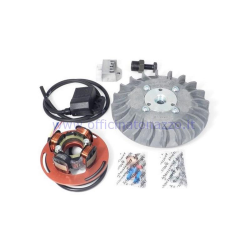 Volviendo PARMAKIT cono avance variable 20 - 1,5 kg con tocho volante para Vespa PX 125/150/200 - PE200 - Rally 200 con encendido Ducati (ventilador gris)