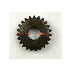 25270906 - Pignone Pinasco Z 23 ingrana su primaria Z 72 (Ratio 3,15)denti dritti per Vespa 50 - Primavera - ET3