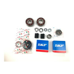 engine overhaul kit for preparation for processing Vespa 50 - Primavera - ET3 (cone shaft 20)