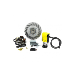 Volviendo Pinasco Flytech avance cono variable de 19 - 1,6 kg Vespa 50 Special - ET3 - Primavera - PK125s (ventilador negro)