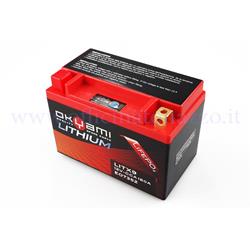 LiFePO4 lithium battery mod. LITX9 12V - 180A CCA