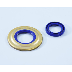 Serie paraolio Polini (24X35X6  - 31X62X5,8) in PTFE/FKM per Vespa PX